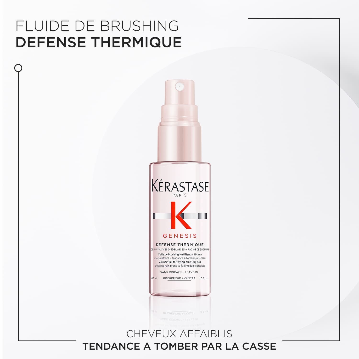 Coffret Decouverte -  Genesis