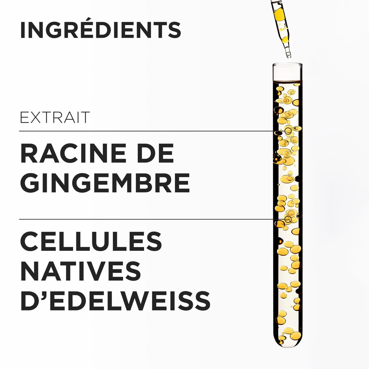 Recharge 500ml Bain Nutri-Fortifiant