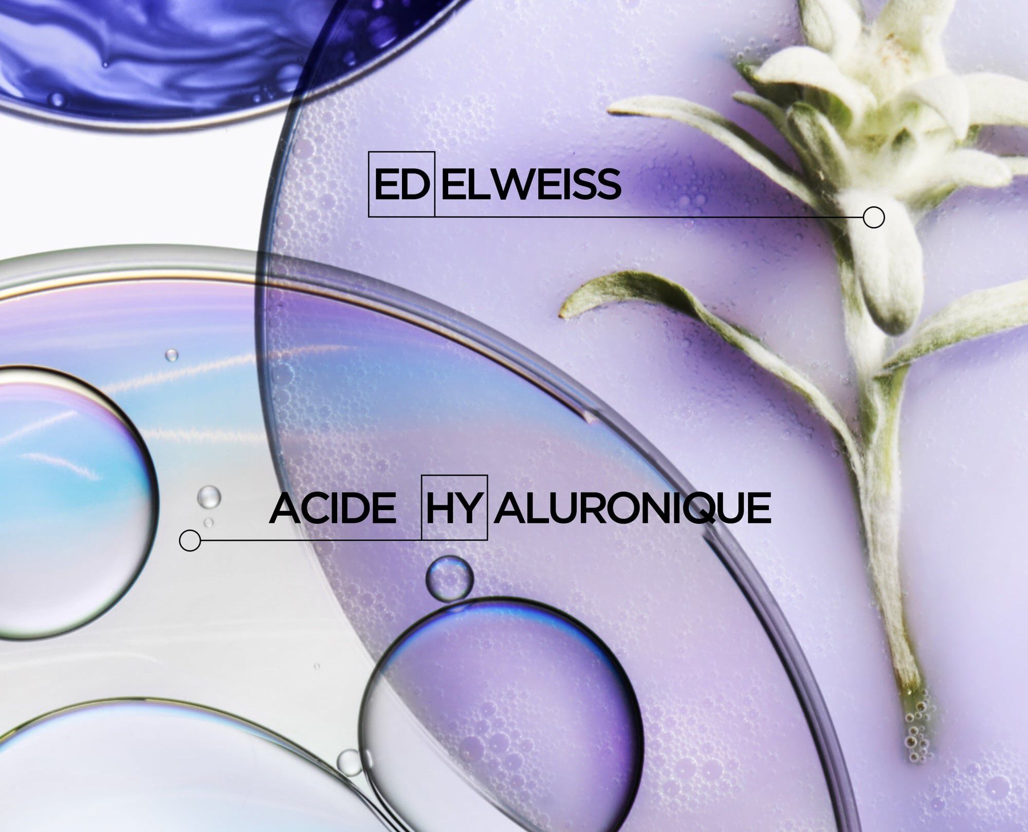 Trio Blond decolore ​