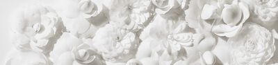 A close-up of delicate white flowers arranged closely together, creating a soft and gentle visual texture.