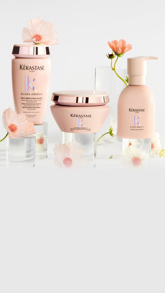 Tous les produits de la gamme Gloss Absolu