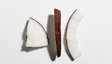 Two pieces of coconut are shown: one with a brown outer shell and a white interior, and another piece with just the white interior. The background is a simple white surface.