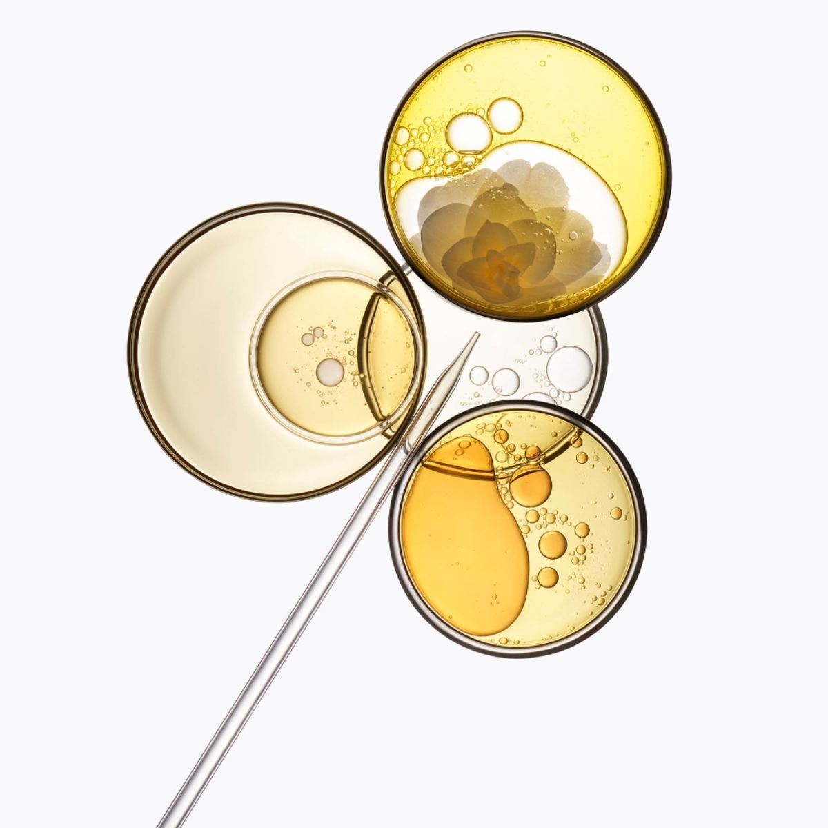 Blond Absolu Science Visual