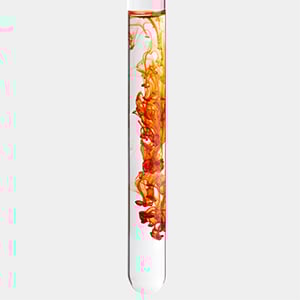 Plant-Based Proteins