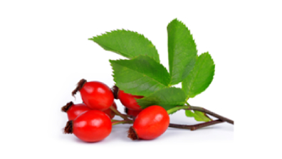 Kerastase Discipline Oléo-Relax Hair Care for Frizzy Hair